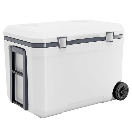 CryoFrot
