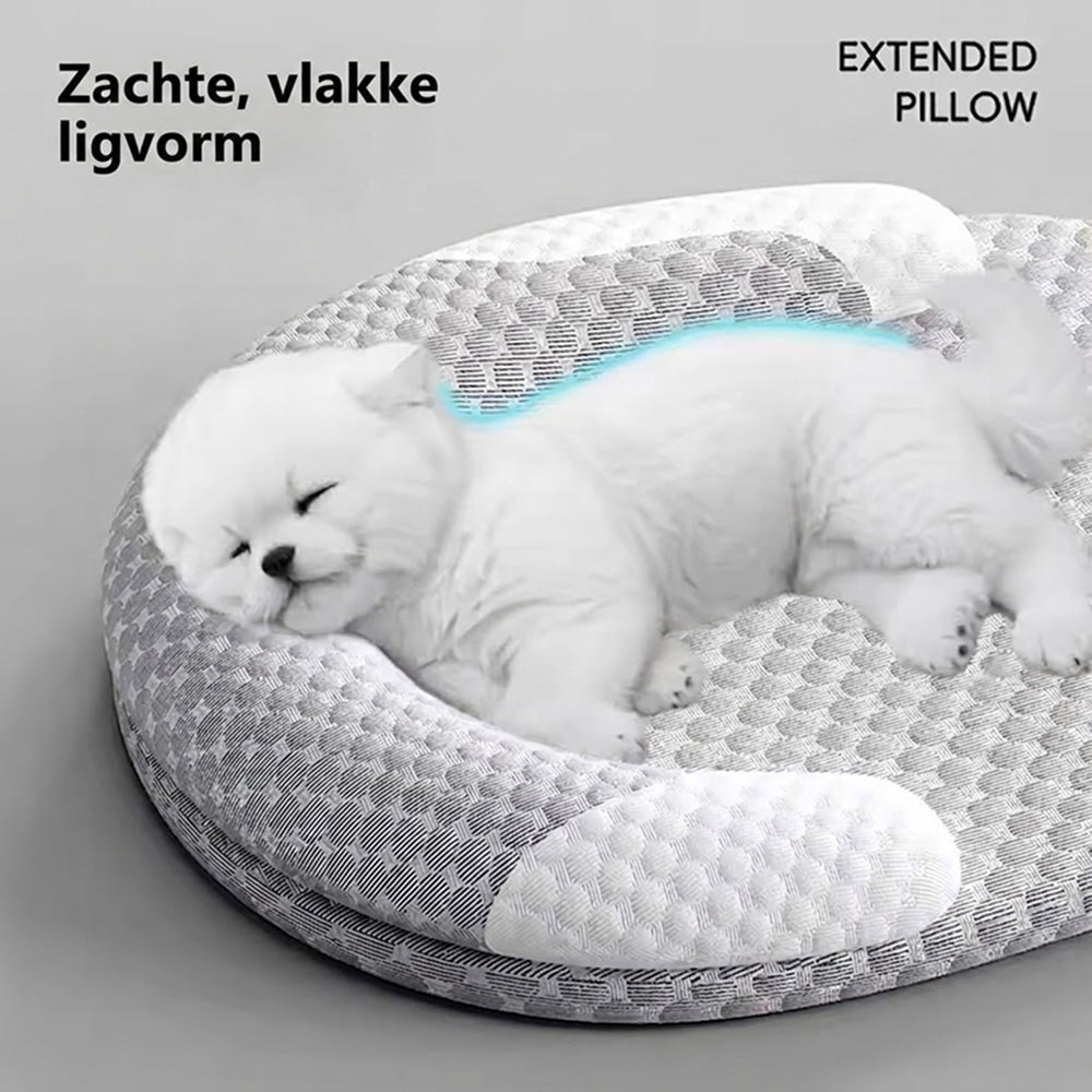 Easepuppy