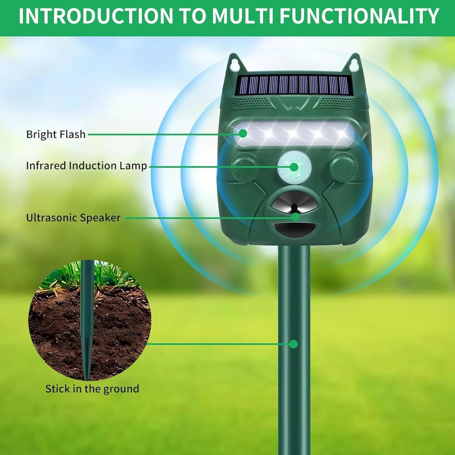 WildreBan